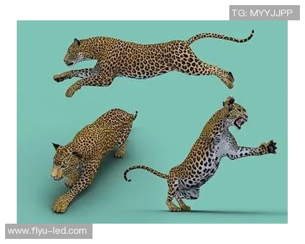 金钱豹般灵动的足球天才他是球场上的猛兽和进攻杀手